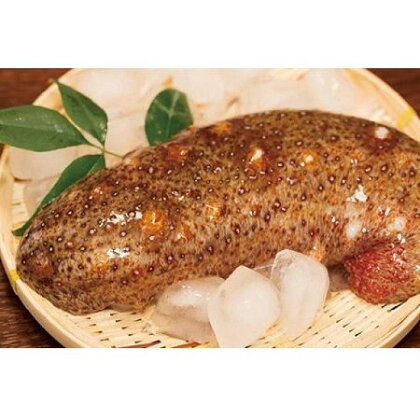 ☆冬季限定☆＜周防大島産＞天然活赤なまこ 3kg