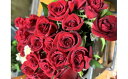 【ふるさと納税】おまかせ薔薇20本
