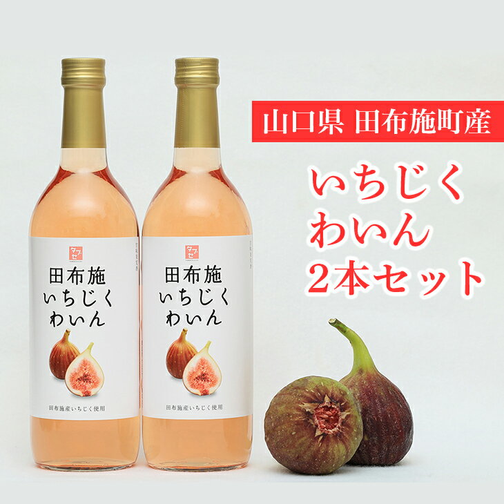 1位! 口コミ数「1件」評価「5」2022年産いちじくわいん 2本セット【田布施地域交流館】 B-40