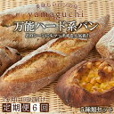 【ふるさと納税】【6回定期便】万能ハード系パンセット 2ヵ月に1回お届け|詰め合わせ 食べ比べ 5種 トースト