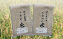 【ふるさと納税】a10-1 コシヒカリ 玄米 10kg（5kg×2袋）令和4年産新米　真空パック・年内配送・年内発送