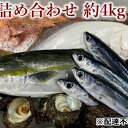 14位! 口コミ数「0件」評価「0」旬の獲れたて鮮魚詰め合わせ 約4kg　【 魚の詰め合わせ 新鮮 新鮮魚介 獲れたて 旬の魚 海鮮 海産物 海の幸 】