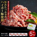【ふるさと納税】豚肉 阿武町産 豚挽肉 500g×10パック 小分けセット | 携帯の電波も届かない環境で育った旨みたっぷりのハイポー豚 ひき肉 挽肉 豚 肉 ...