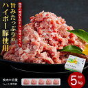 【ふるさと納税】豚肉 阿武町産 豚挽肉 1kg×5パック 小分けセット | 携帯の電波も届かない環境で育った旨みたっぷりのハイポー豚 ひき肉 挽肉 豚 肉 お肉...