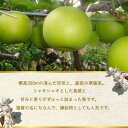 山口県阿武町の画像3