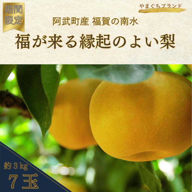 【ふるさと納税】【先行予約】福賀の南水梨 約3kg（7玉） 阿武町産 高糖度 シャキシャキ食感 やまぐちブランド認定 数量限定 なし 梨 ナシ フルーツ 果物 旬 《お届け：2025年9月20日頃～順次出荷》 山口県 阿武町産 デザート
