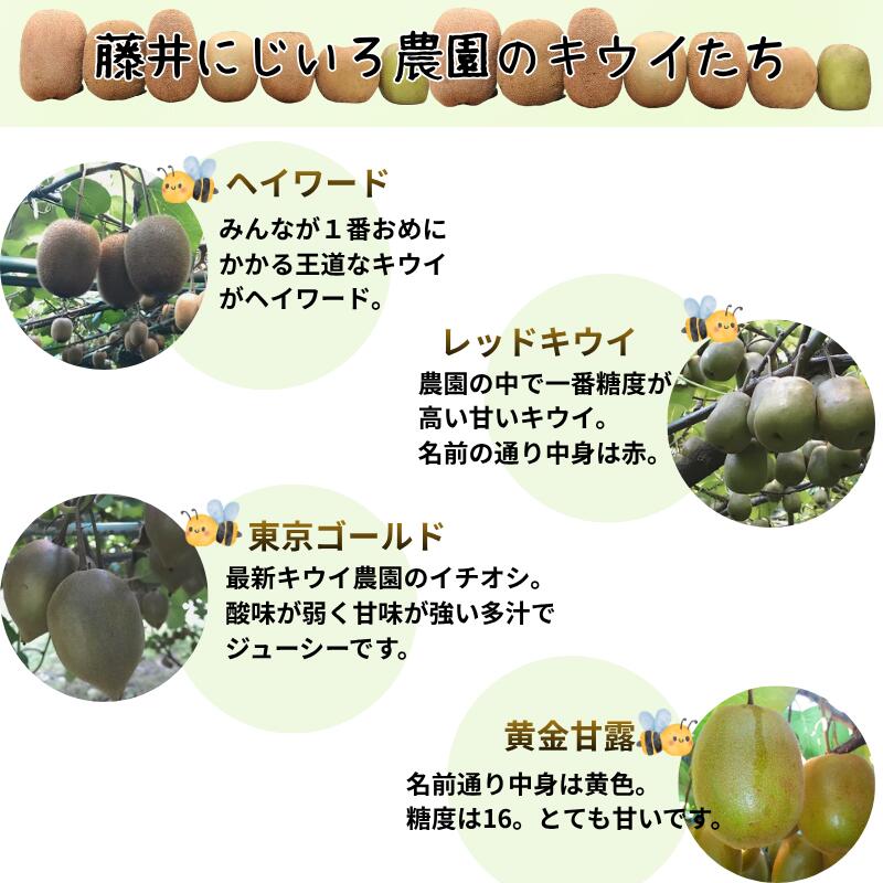 【ふるさと納税】【先行予約】 キウイ フルーツ 食べ比べ アソート 3種 約1.4kg & キウイジュース 500mlセット（果汁70％） 阿武町産 キウイトリプル ジュースセット フルーツ 果物詰め合わせ 《お届け：2025年11月14日頃～2026年1月31日頃 出荷予定》 山口県 阿武町