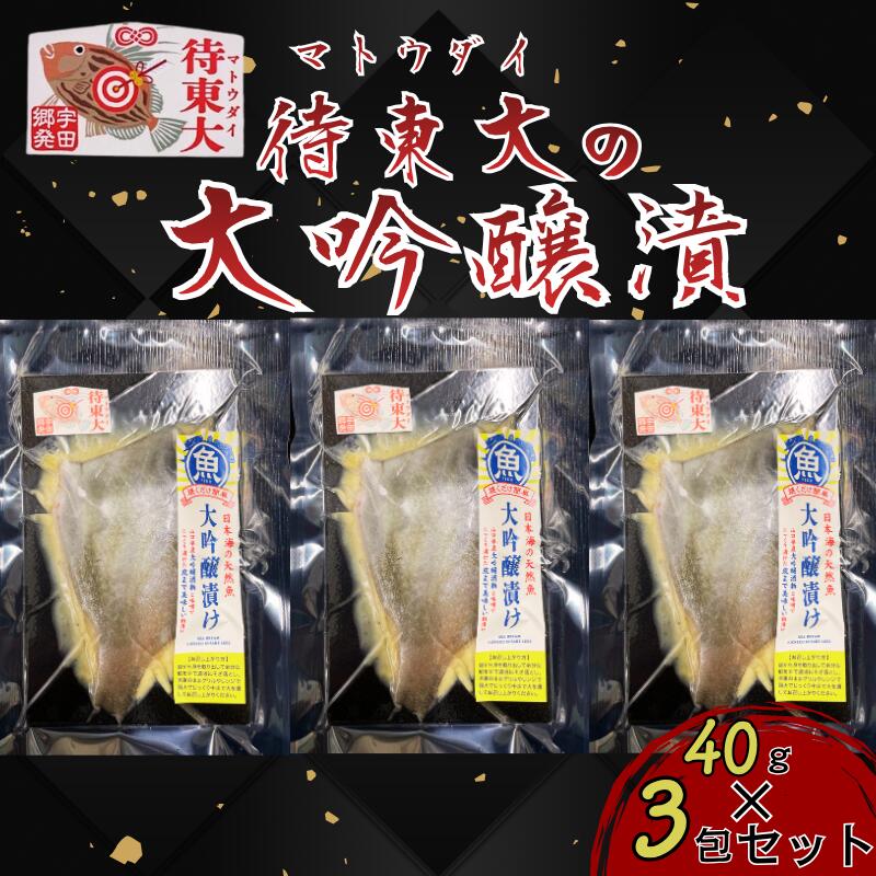 マトウダイの大吟醸漬け40g×3包セット