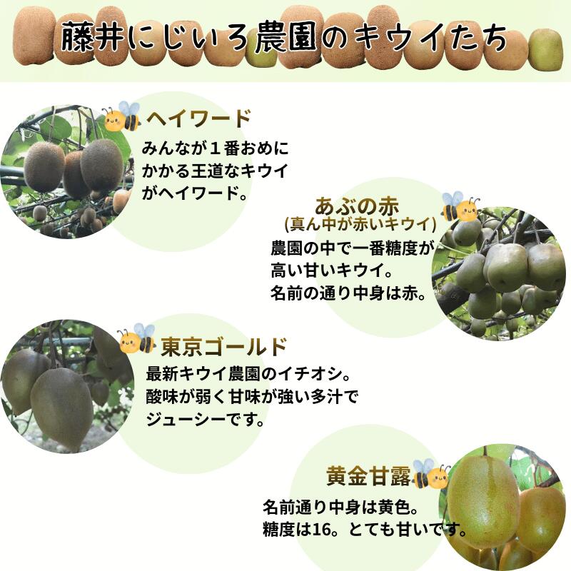 【ふるさと納税】キウイ フルーツ 食べ比べ アソート 3種 約1.4kg & キウイジュース 500mlセット（果汁70％） 阿武町産 キウイトリプル ジュースセット フルーツ 果物詰め合わせ 《お届け：2025年11月14日頃～2026年1月31日頃 出荷予定》 山口県 阿武町