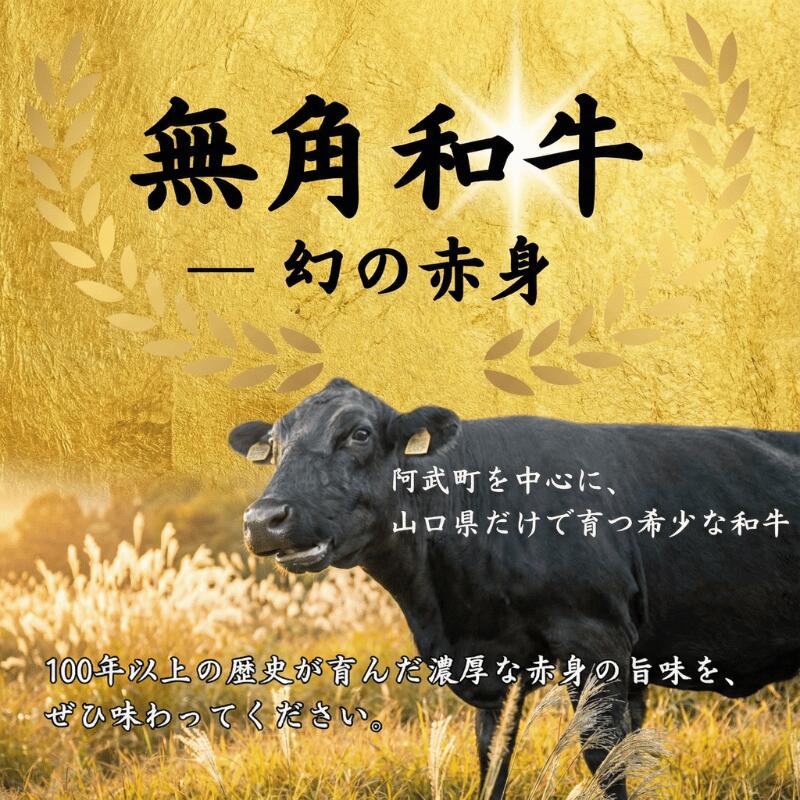【ふるさと納税】幻の希少和牛 「 無角和牛 100％ 噛む噛む ハンバーグ 」～ 赤身 の旨味と噛む楽しさ～ 材料： 無角和牛 岩塩 山椒 のみ
