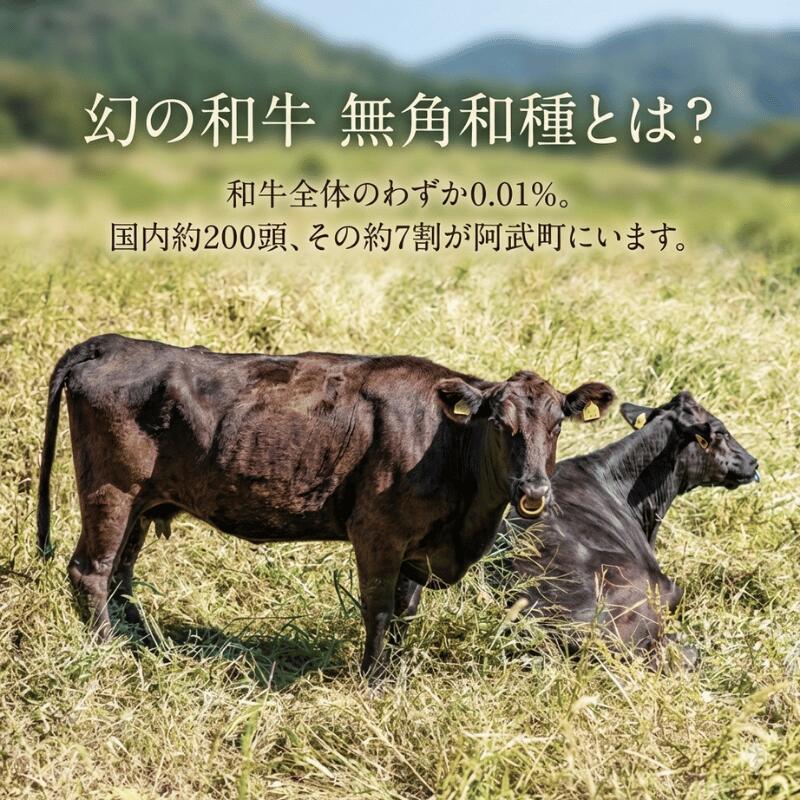 【ふるさと納税】幻の和牛、無角和種に会いにいこう!！「見て・触れて・食べる」を2時間半でまるっと体験！【無角和種堪能ツアー】※体験チケット2名様分