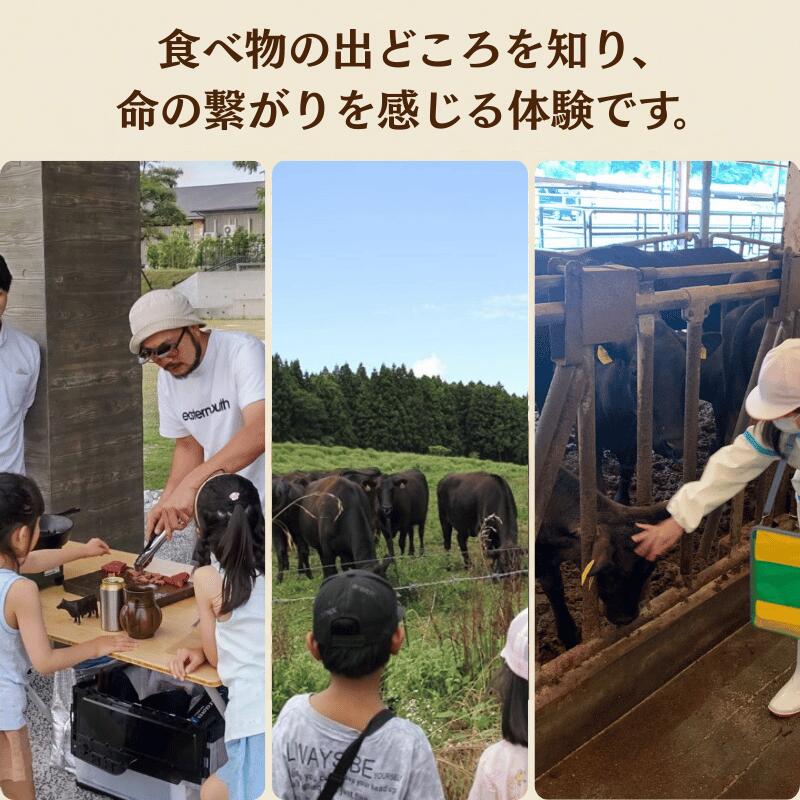 【ふるさと納税】【体験チケット】無角和種堪能ツアー 2名様分 山口県阿武町 自然体験「見て・触れて・食べる」を2時間半でまるっと堪能！ f355020-abu-10000075 山口県阿武町 サンプル画像3