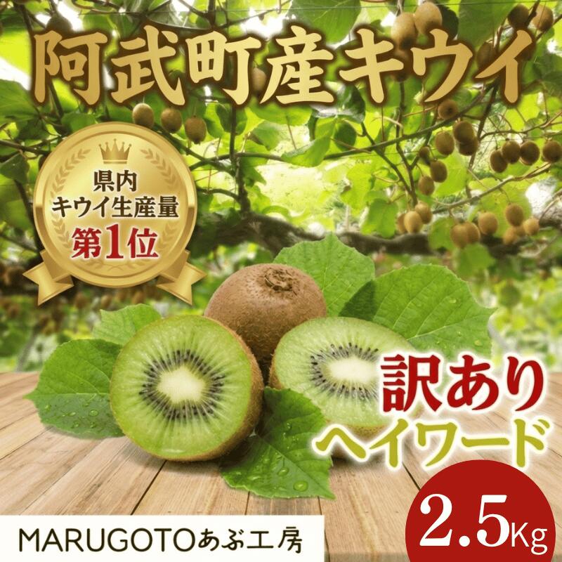 阿武町産 キウイ 訳ありヘイワード(2.5kg)