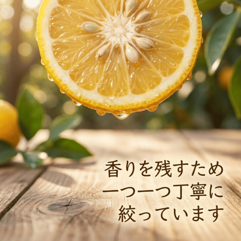 【ふるさと納税】阿武町産 柚子シロップ（柚子果汁と砂糖のみ）550ml×2本｜abuiro