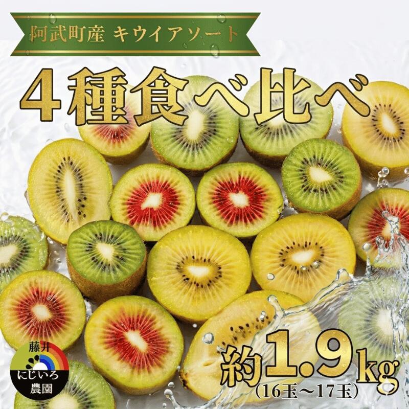 【ふるさと納税】【先行予約】キウイ フルーツ 4種 食べ比べ 約1.9kg キウイアソート 果物 旬 《お届け：2026年11月中旬～2027年2月下..