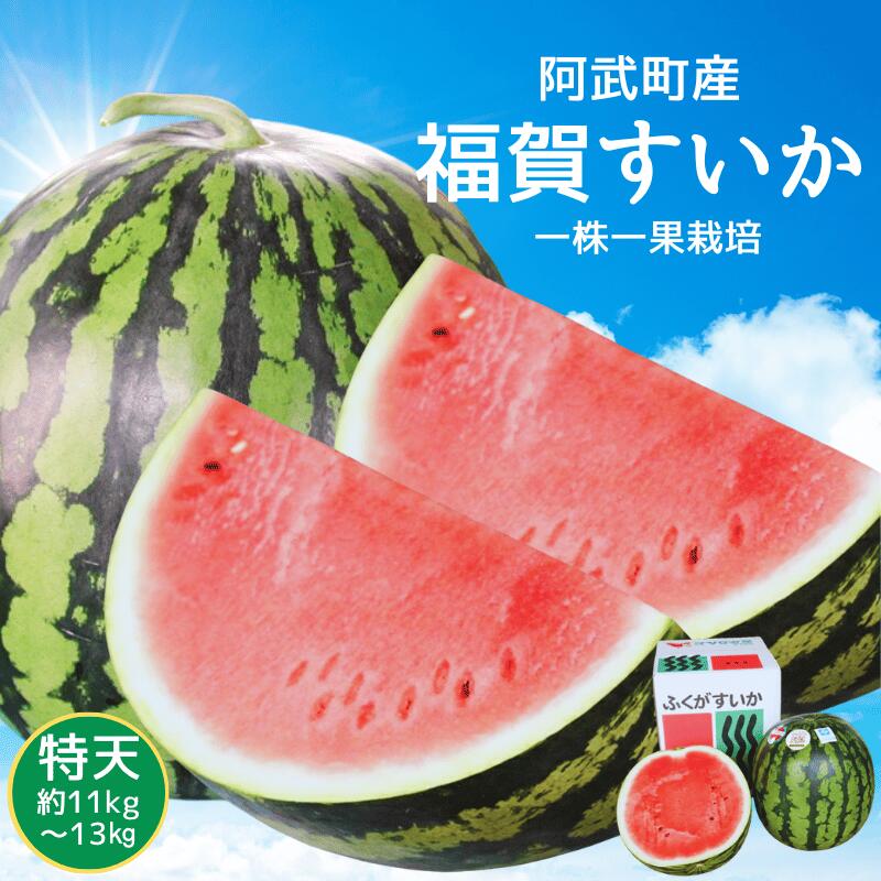 【ふるさと納税】【先行予約】 1株1玉獲りの自信作「福賀 すいか」特天 約11kg～13kg 1個 果物類・スイカ お届け：2026年7月上旬以降順次発送予定