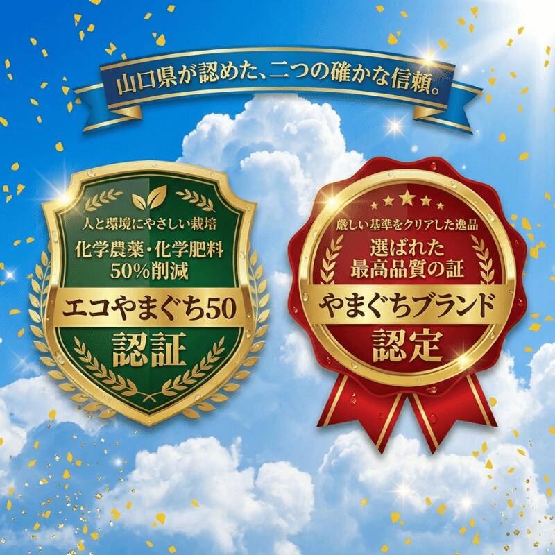 【ふるさと納税】【先行予約】 1株1玉獲りの自信作「福賀 すいか」特天 約11kg～13kg 1個　果物類・スイカ　お届け：2026年7月上旬以降順次発送予定