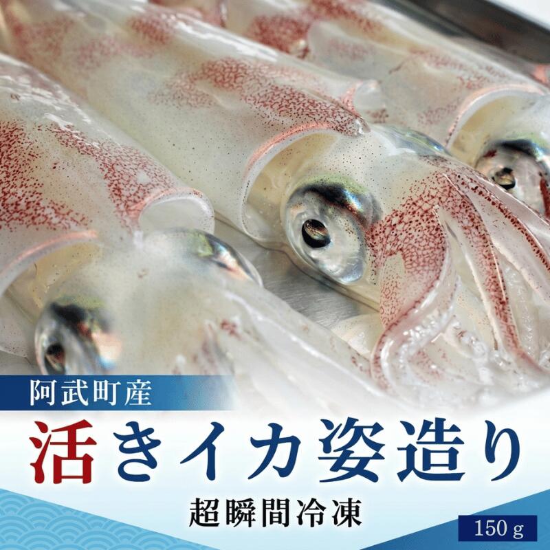 活きイカ 姿造り 150g 阿武町産 イカ刺し 割烹千代 超瞬間冷凍