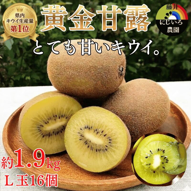 【ふるさと納税】【先行予約】キウイ 黄金甘露 約1.9kg 山口県 阿武町産 国産 希少品種 早生 とろける甘さ ジューシー 数量限定《2026年9月中旬～10月中旬発送》