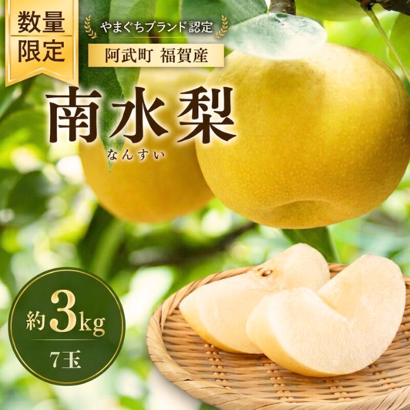 梨 福賀の南水梨 約3kg 7玉 山口県阿武町産 高糖度 シャキシャキ食感 数量限定 [2026年9月20日頃〜順次発送]