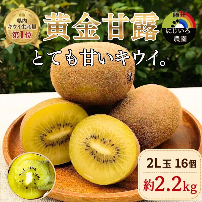 【ふるさと納税】【先行予約】キウイ 黄金甘露 2L玉 約2.2kg 山口県 阿武町産 希少品種 早生 とろける甘さ 数量限定《2026年9月中旬～10月中旬発送》