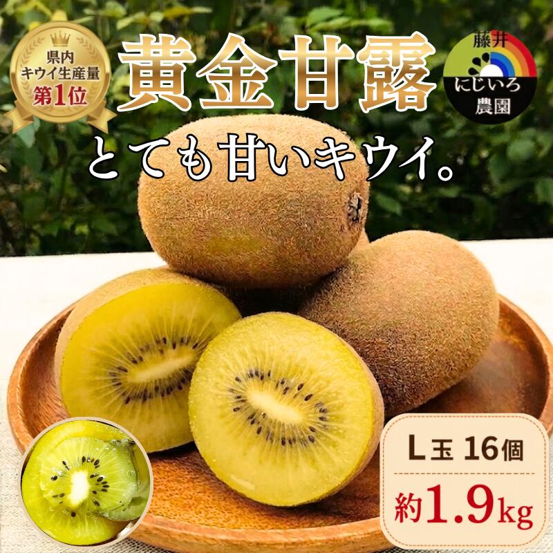 [先行予約]キウイ 黄金甘露 L玉 約1.9kg 山口県 阿武町産 希少品種 早生 とろける甘さ 数量限定[2026年9月中旬〜10月中旬発送]