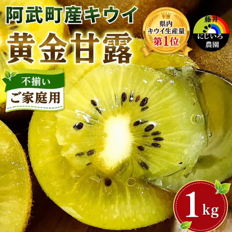 [先行予約][家庭用]キウイ 黄金甘露 1kg 山口県 阿武町産 数量限定 国産 果物 黄色キウイ[2026年9月中旬〜10月下旬発送]