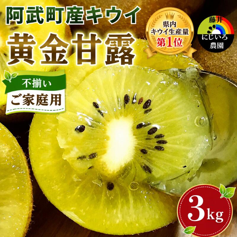 【ふるさと納税】【先行予約】【家庭用】キウイ 黄金甘露 3kg 山口県 阿武町産 数量限定 国産 果物 黄色キウイ《2026年9月中旬～10月下旬発送》