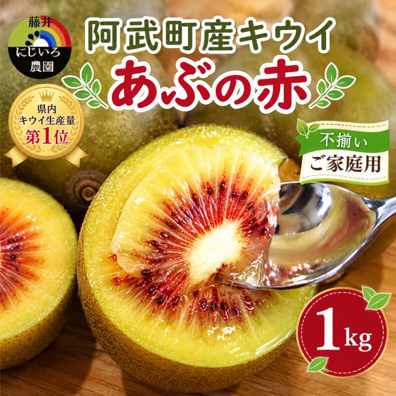 【先行予約】【家庭用】キウイ あぶの赤 1kg 山口県 阿武町産 数量限定 国産 果物 赤いキウイ《2026年10月下旬～発送予定》
