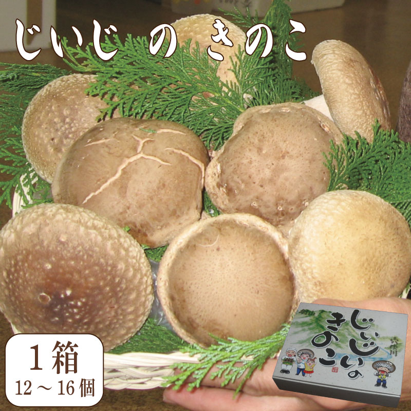 【ふるさと納税】 しいたけ きのこ 1箱 12から16個 肉厚 椎茸 野菜 料理 調理 健康食品 健康 お取り寄せ グルメ 人気 おすすめ 国産 徳島県