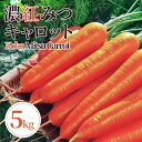 【ふるさと納税】 にんじん 人参 5kg 2025年 4月から5月末まで発送 濃紅みつ キャロット 甘い 季節 春 野菜 新鮮 旬 煮物 炒め物 漬物 鍋 味噌...