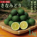 【ふるさと納税】 すだち 1kg 徳島県産 8月から10月末発送 先行予約 魚 ホタテ 鮭 サーモン さば ぶり まぐろ うなぎ さんま 刺し身 肉 牛タン ス...