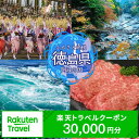【ふるさと納税】 徳島県の対象施設で使える楽天トラベルクーポン 30,000円分 徳島県 徳島 すだち 大野 海苔 のり お土産 米 徳島ラーメン ラーメン 道...