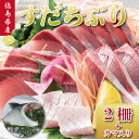 【ふるさと納税】 すだちぶり 2柵 カマ入り 10月から11月末まで発送 すだち ぶり 鰤 刺身 ぶりしゃぶ 切り身 さしみ カマ ぶりかま ご飯 米 こめ 丼...