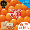 【ふるさと納税】 卵 赤卵 20個 から 60個 (割れ保証含む) 定期便 も 選べる 冷蔵便 たまご アイ杉原 国産 大人気 玉子焼き 卵焼き 卵かけご飯 米 ご飯 ゆで卵 すき焼き 鳥 鶏 鶏卵 卵黄 うなぎ う巻き 生卵 産地直送 健康 ギフトお歳暮 お中元 アイ杉原の赤卵 徳島