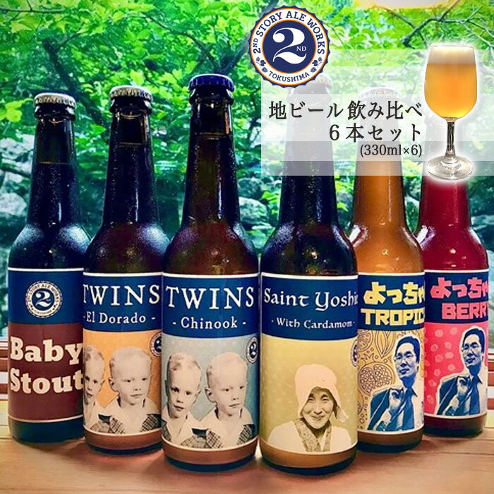 【ふるさと納税】A135a 地ビール飲み比べ6本セット(330ml×6)