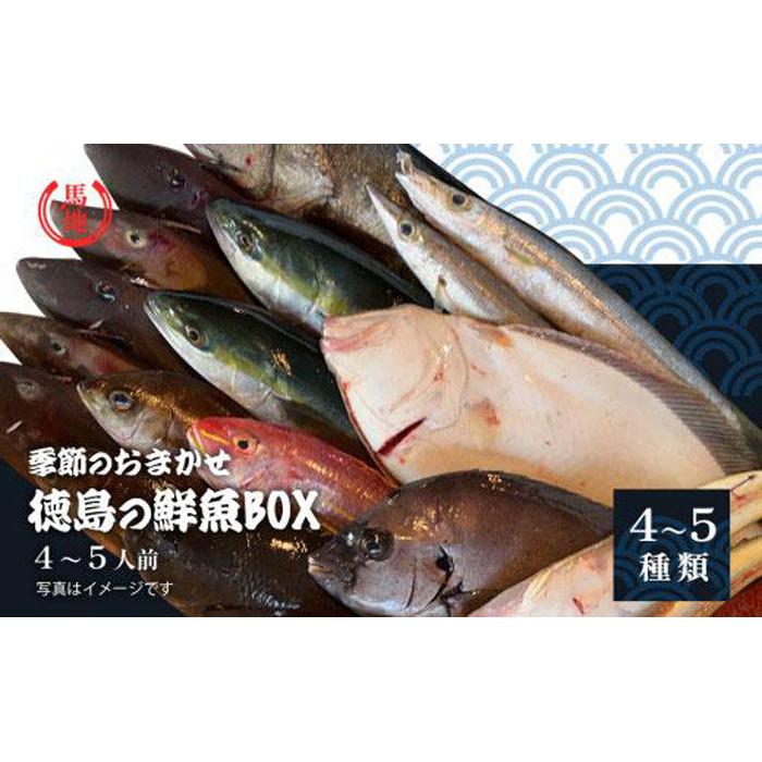 【ふるさと納税】その日のセリの一番魚お届けBOX 4人前(下処理済み)