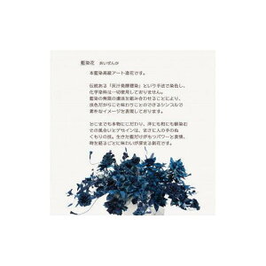 【ふるさと納税】藍染花 花と踊り子のLED入り長方形フレーム額