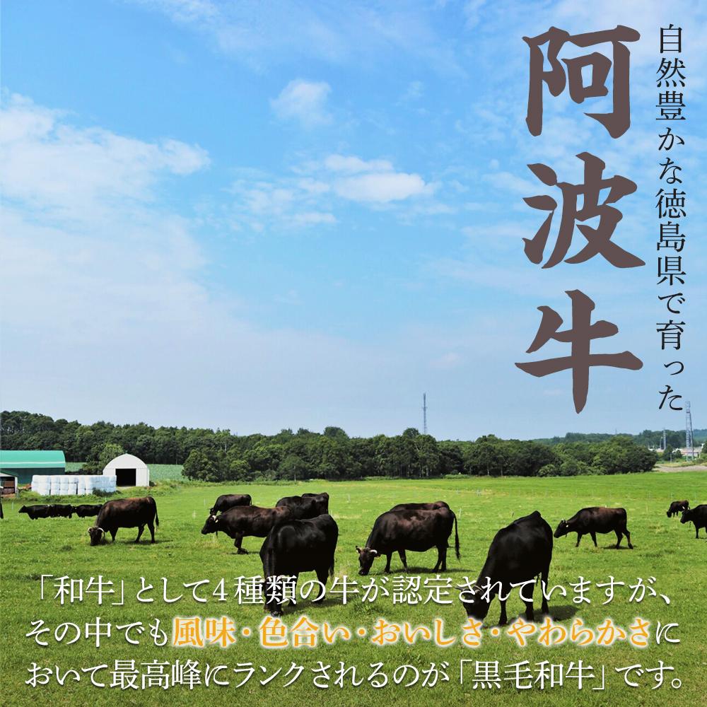 【ふるさと納税】阿波牛霜降り焼肉700g 牛肉 お肉 徳島 ブランド 黒毛和牛 和牛 国産 冷凍 ギフト 人気 おすすめ 国産牛 ブランド牛 美味しい | 牛肉 肉 にく 贈り物 贈答 プレゼント お取り寄せ グルメ 記念日 パーティ