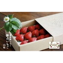 【ふるさと納税】最高級いちご「勝占いちご」15粒 (老舗料亭も御用達) | フルーツ 果物 くだもの 食品 いちご 苺 人気 期間限定 数量限定 人気 ギフト ...