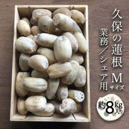 【ふるさと納税】【久保の蓮根】業務・シェア用「Mサイズ」約8kg入 | 野菜 やさい レンコン れんこん 蓮根 根菜 産地直送 人気 おすすめ 徳島 送料無料