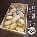 【ふるさと納税】【久保の蓮根】業務・シェア用「Lサイズ」約8kg入 | 野菜 やさい レンコン れんこん 蓮根 根菜 産地直送 人気 おすすめ 徳島 送料無料