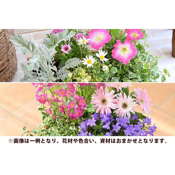 【ふるさと納税】【定期便全3回】季節のお花 寄せ植え 3回コース | フラワー 植物 プラント 人気 おすすめ 送料無料