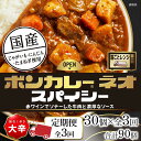 【ふるさと納税】【定期便 全3回】ボンカレーネオ ス