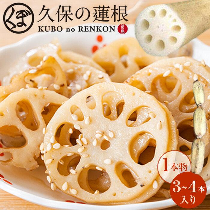 【ふるさと納税】蓮根 1本物 3~4本入り れんこん | 野菜 やさい レンコン れんこん 蓮根 根菜 産地直送 人気 おすすめ 徳島 送料無料