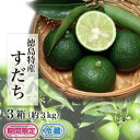 【ふるさと納税】【期間限定】露地すだち3kg(1箱約1kg×3箱)