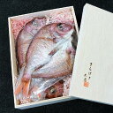 【ふるさと納税】天然鳴門鯛 一夜干し(250g ×3枚)冷凍 | 鯛 たい ギフト お取り寄せ お取り寄せグルメ 簡単 おかず 贈答 徳島 人気 おすすめ 送料...