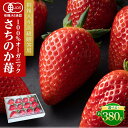 【ふるさと納税】桐箱入り高級贈答用 とくしまオーガニックいちご 約380g(大粒・中粒) | 無農薬 フルーツ 果物 くだもの 食品 いちご 苺 人気 無農薬 ...