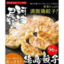 【ふるさと納税】阿波尾鶏 徳島餃子96個入 | 食品 加工食品 人気 おすすめ 送料無料