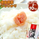 【ふるさと納税】選べる!! 徳島県産 コシヒカリ 阿波の恵み米 2kg・4kg・10kg | お米 こめ 白米 食品 人気 おすすめ 送料無料